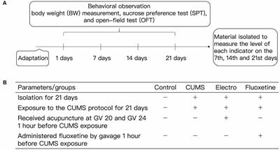 Mechanisms Underlying the Antidepressant Effect of Acupuncture via the CaMK Signaling Pathway